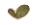 Ícone Brotinho